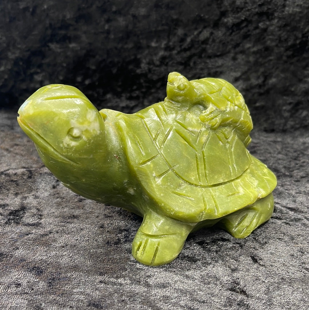 Turtles