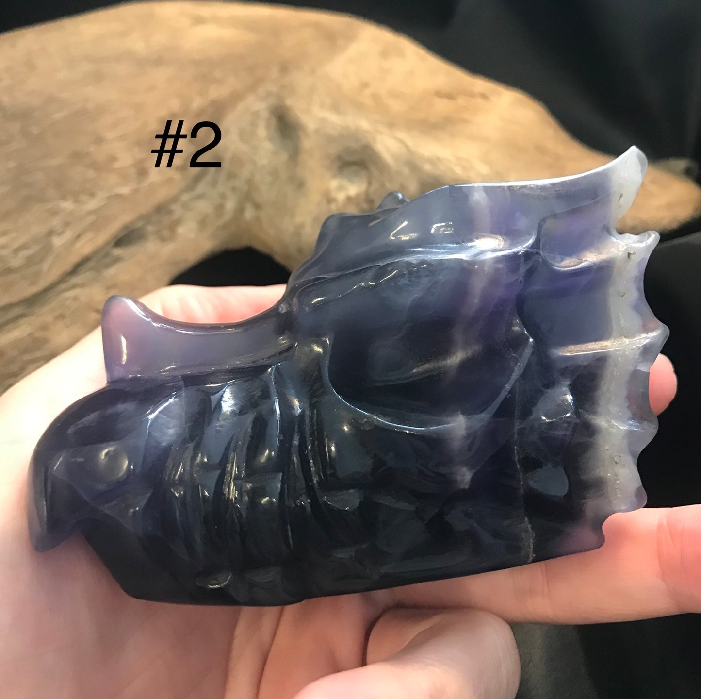 Dragon skull