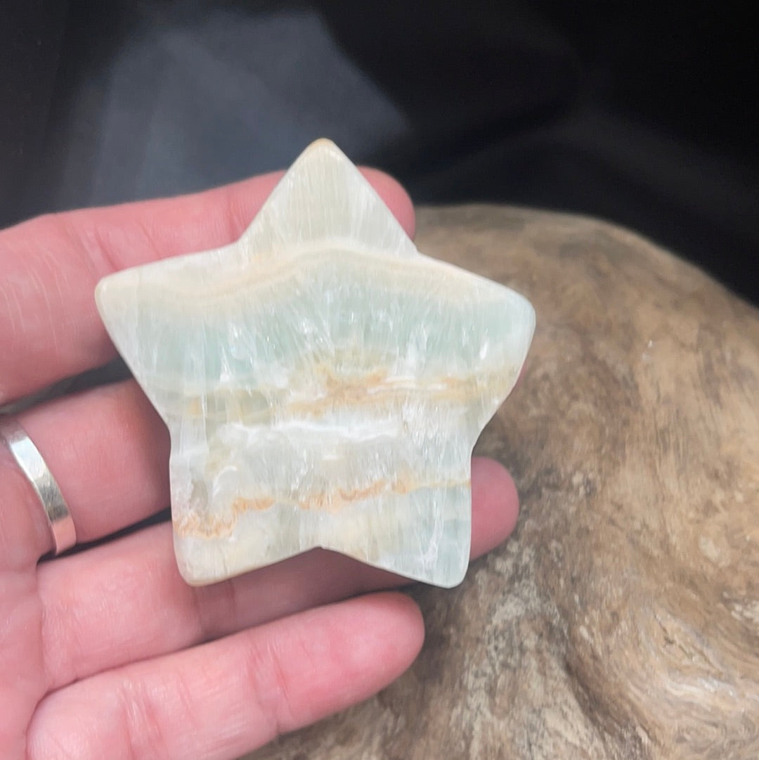 Caribbean calcite star