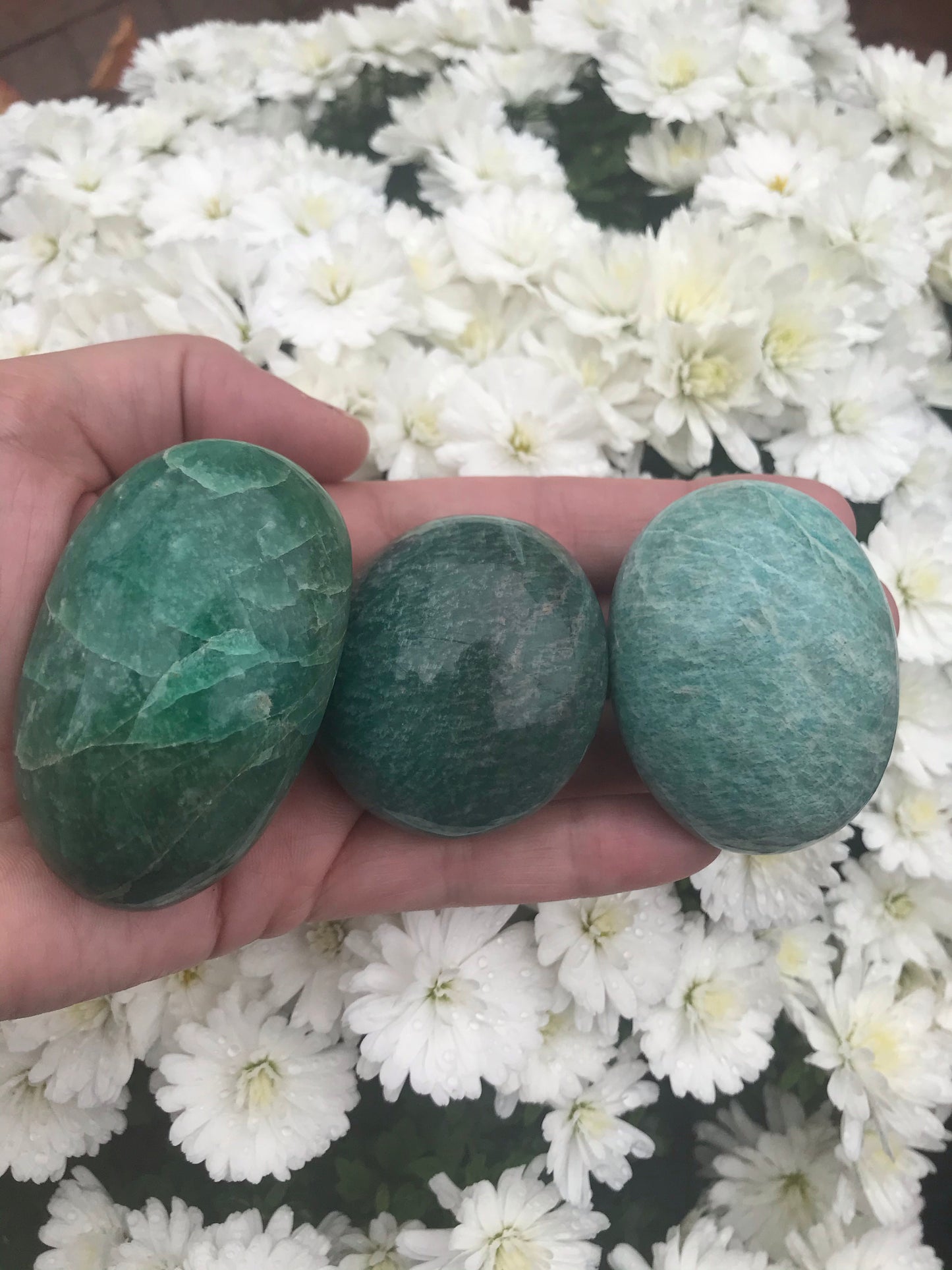 Amazonite palm stone