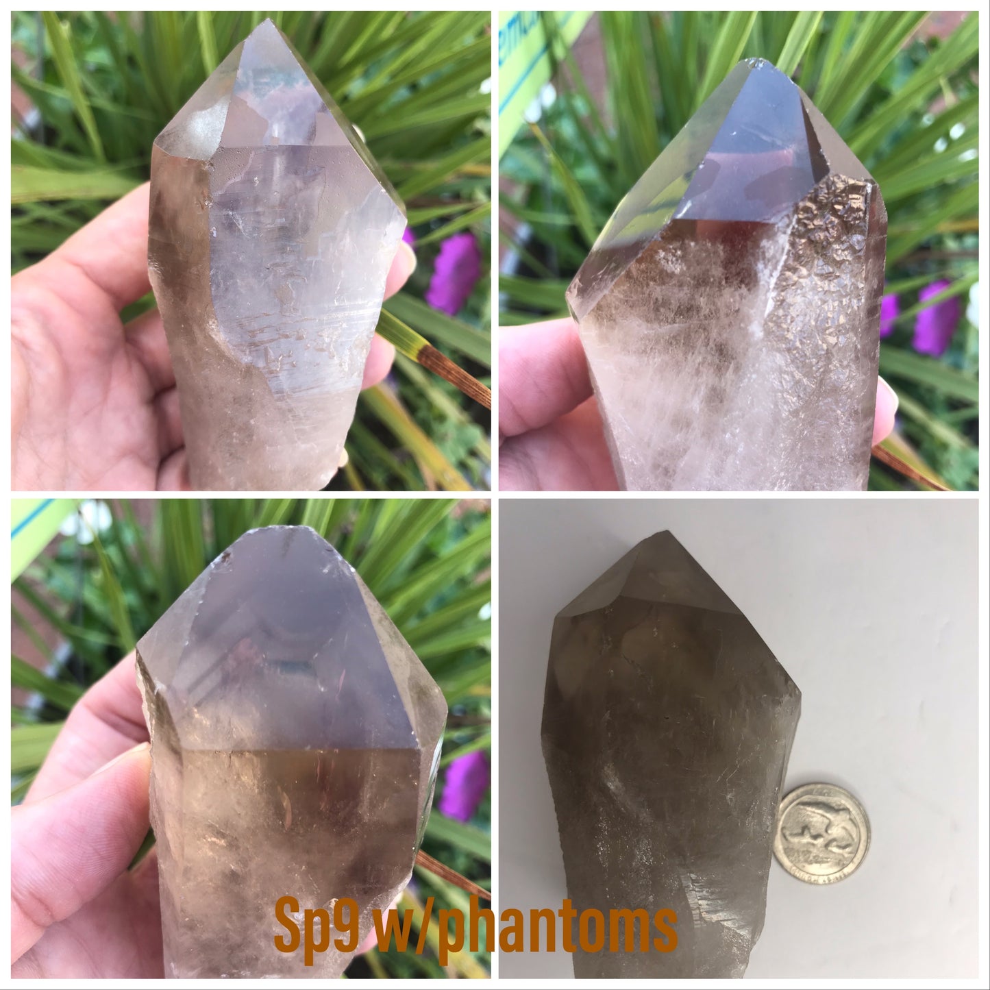 Smoky Quartz points