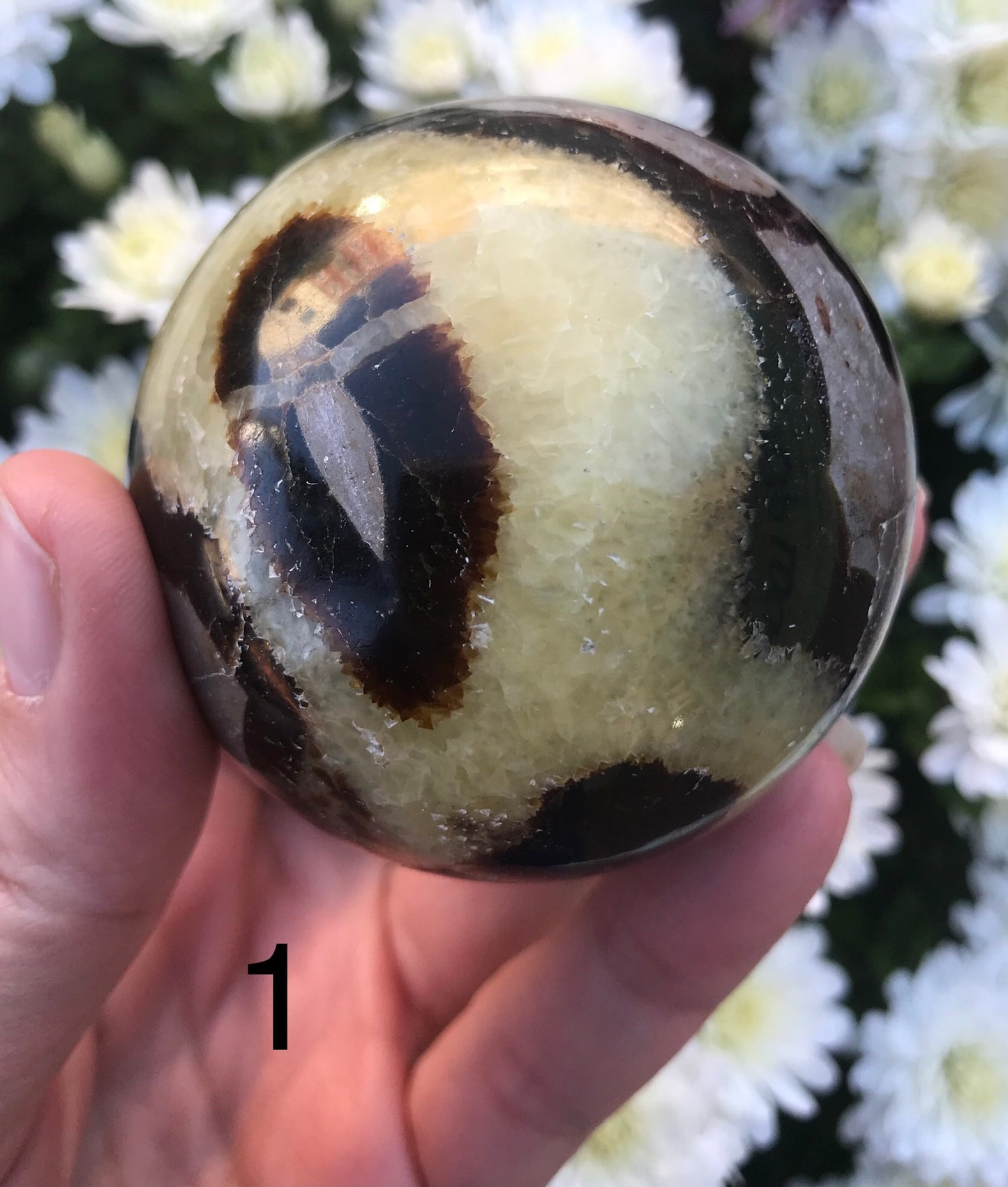 Septarian Sphere