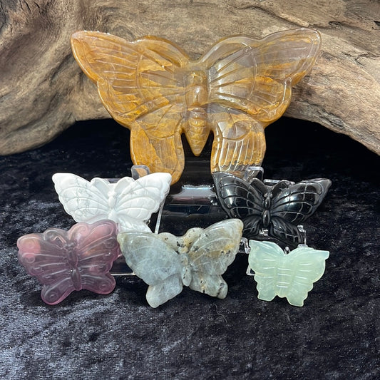 Butterflies