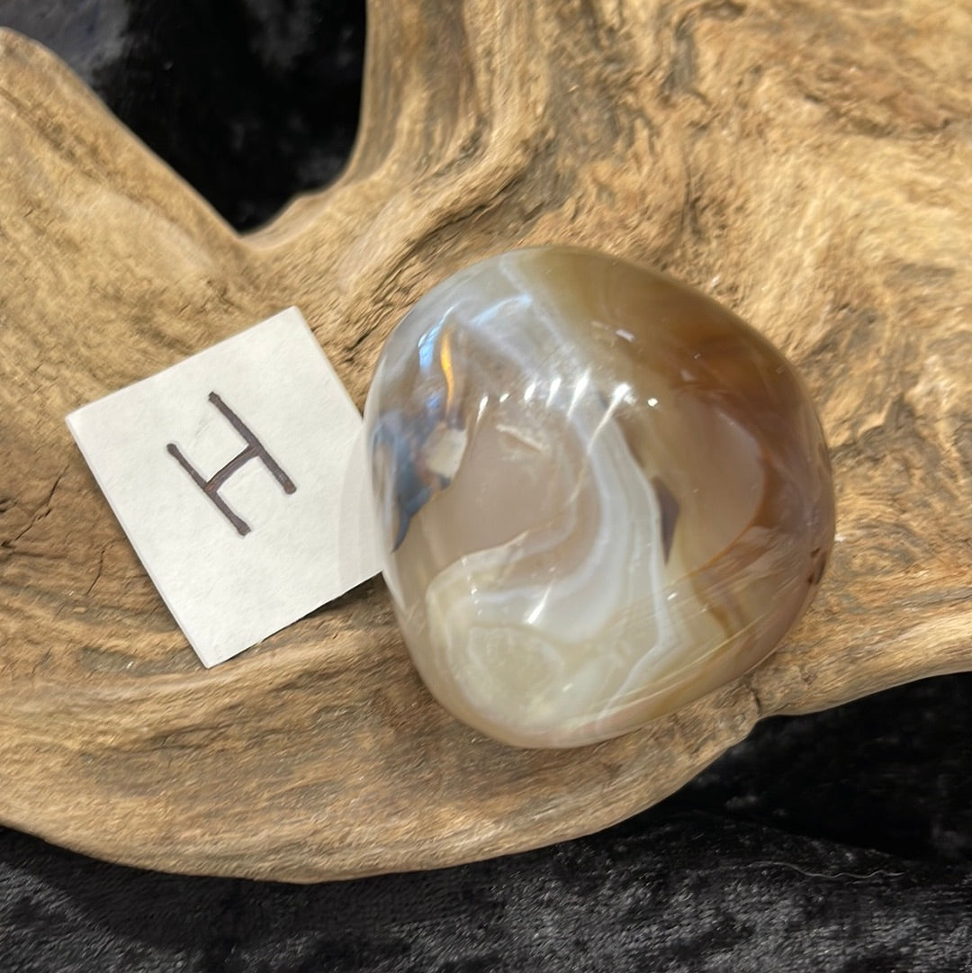 Dendritic Agate palm stone