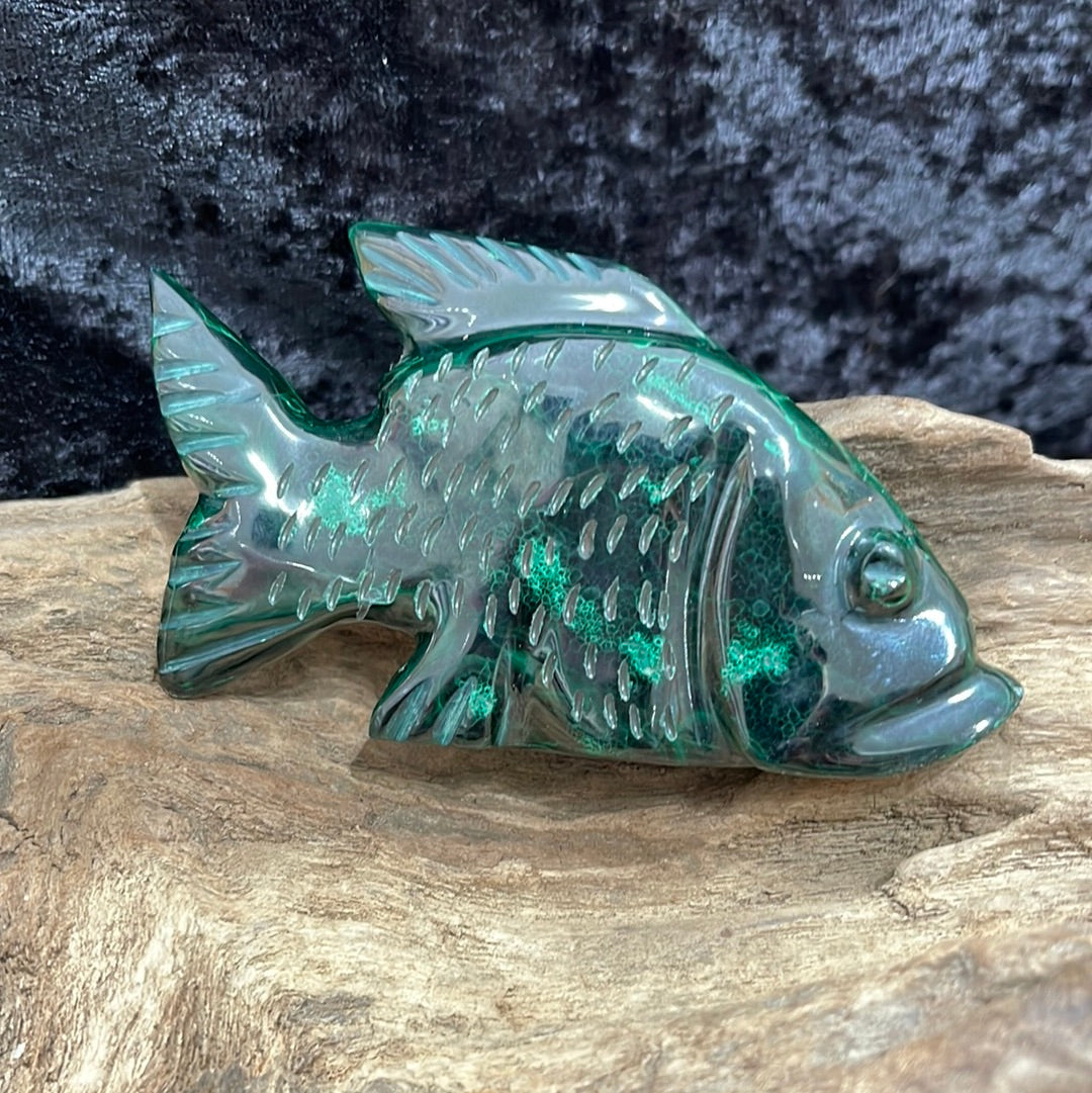 Fish