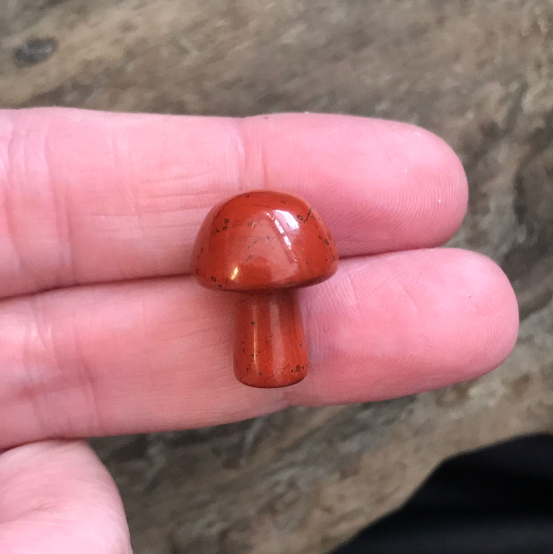 Mushrooms