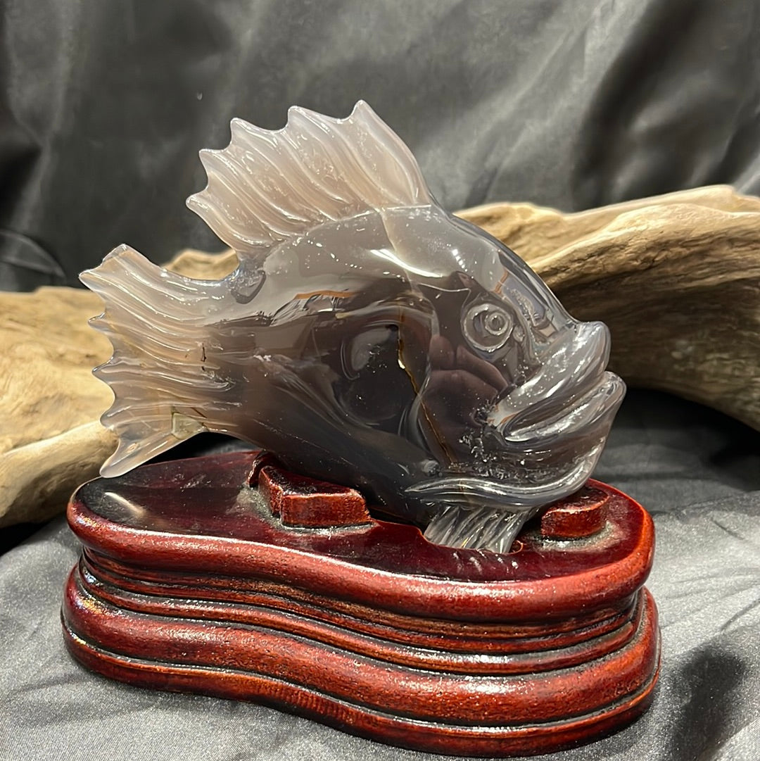 Fish