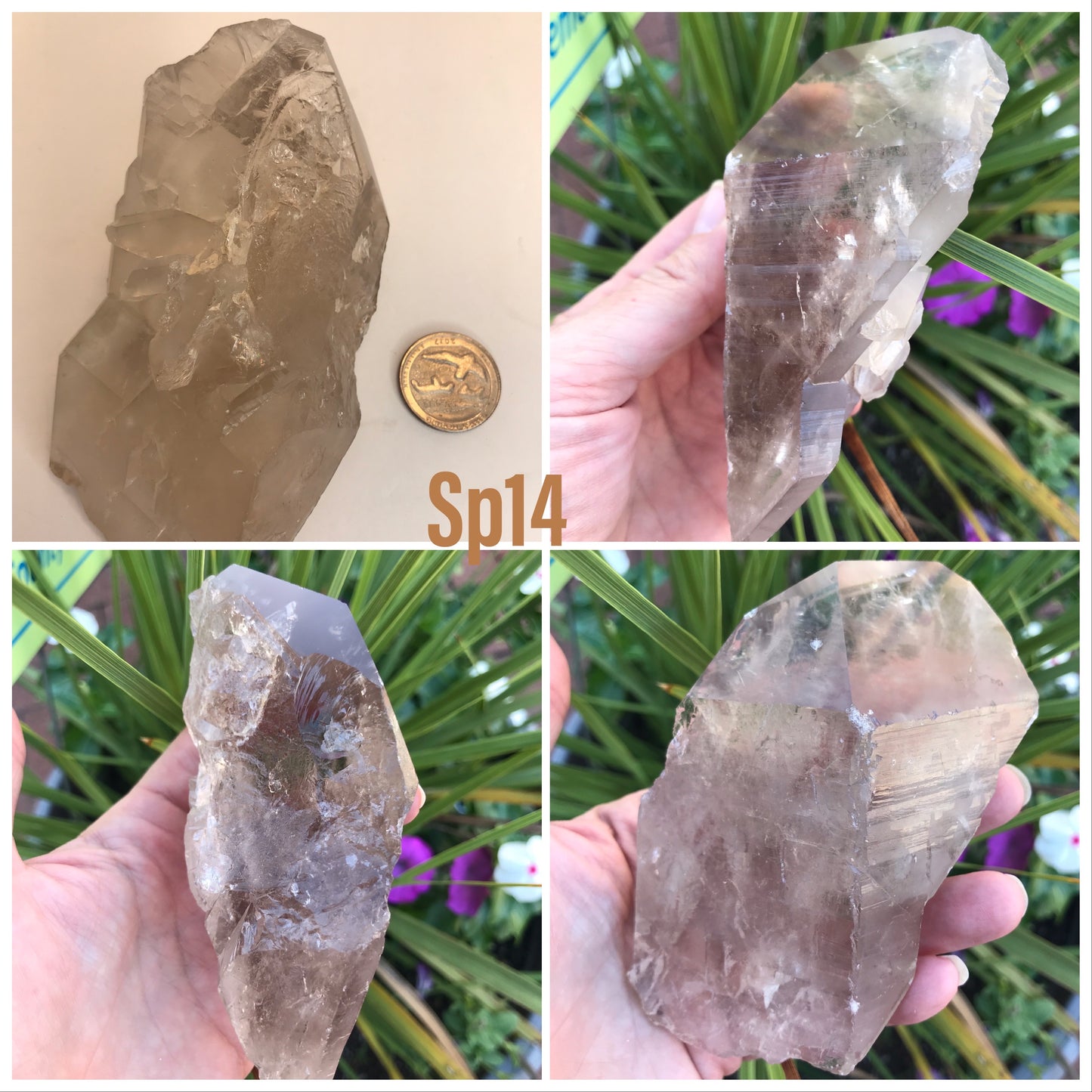 Smoky Quartz points