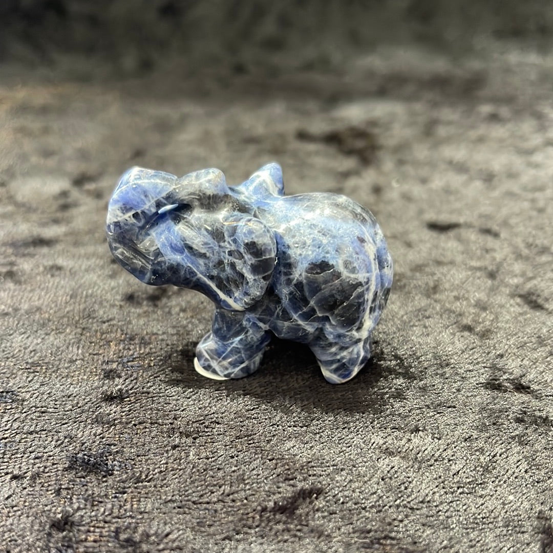 Elephants