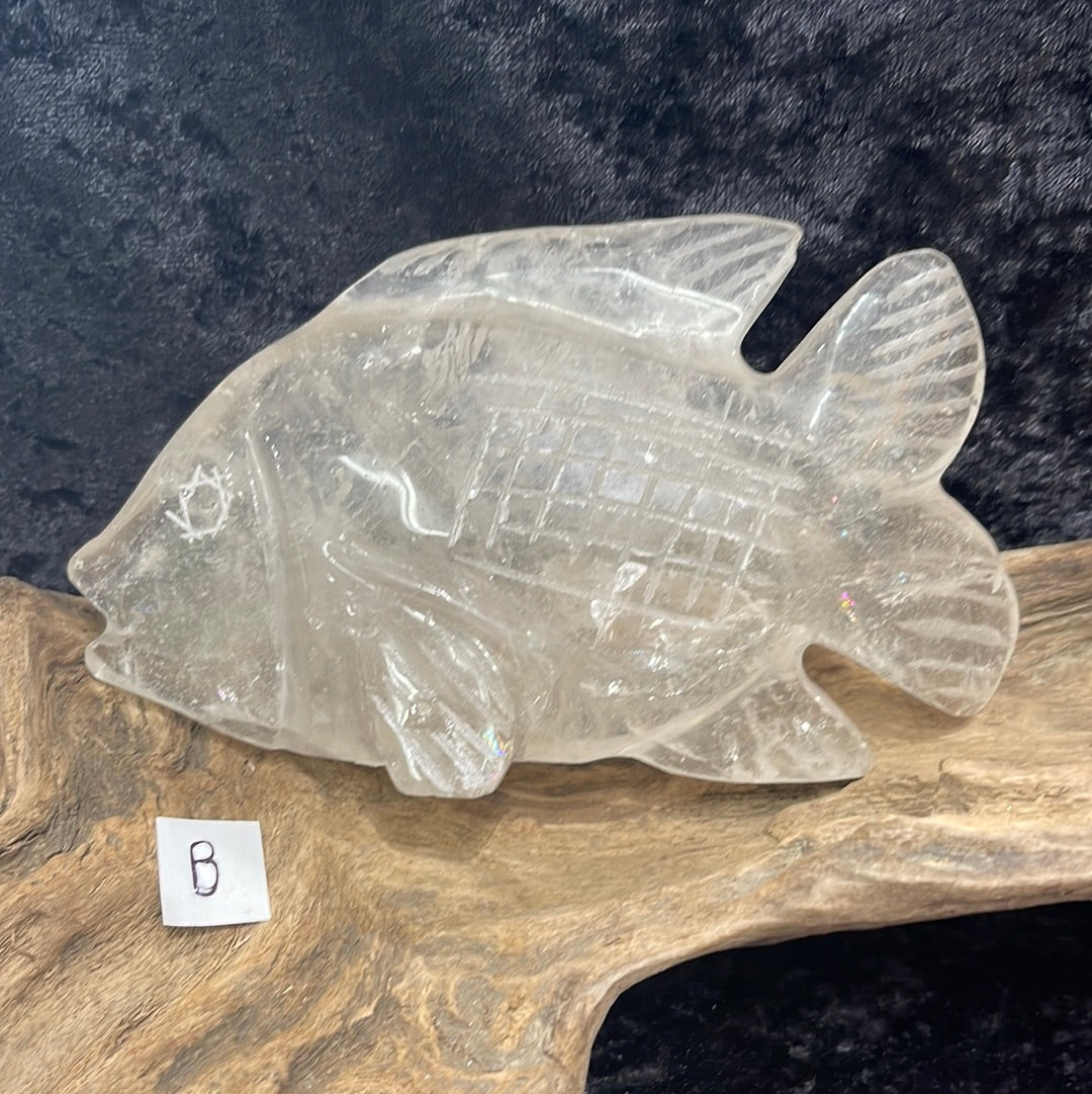 Fish