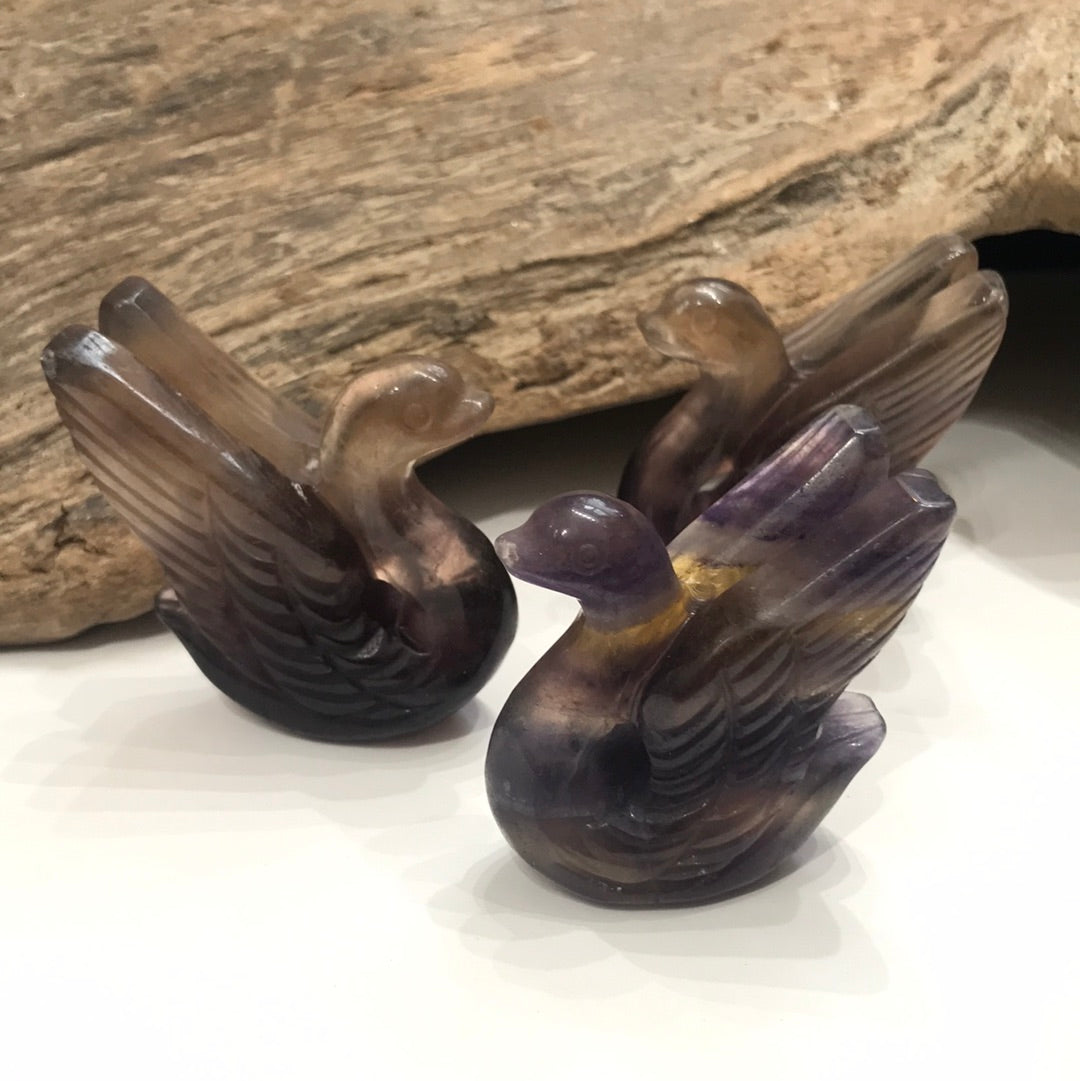 Fluorite Swans