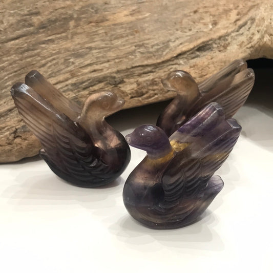 Fluorite Swans