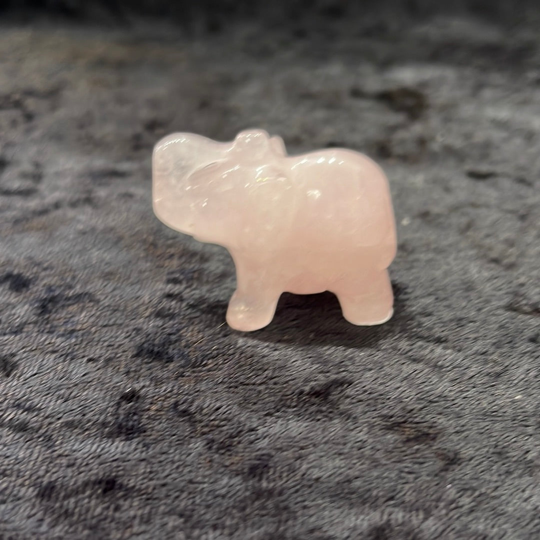 Elephants