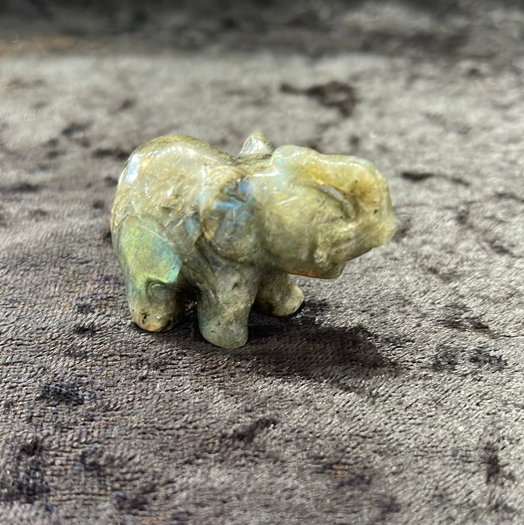 Elephants