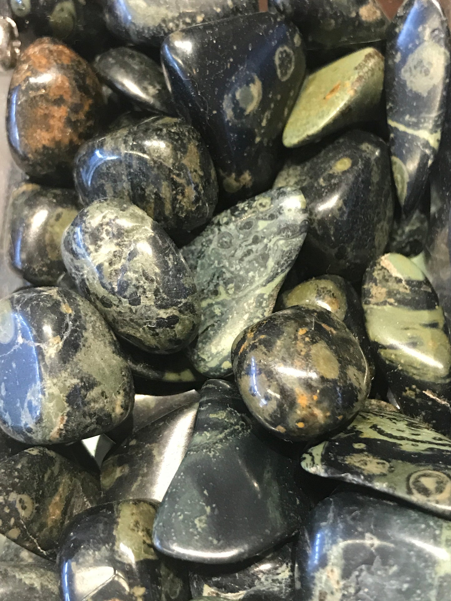 Tumbled Kambaba ‘Jasper’