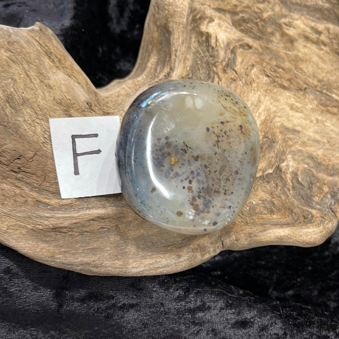 Dendritic Agate palm stone