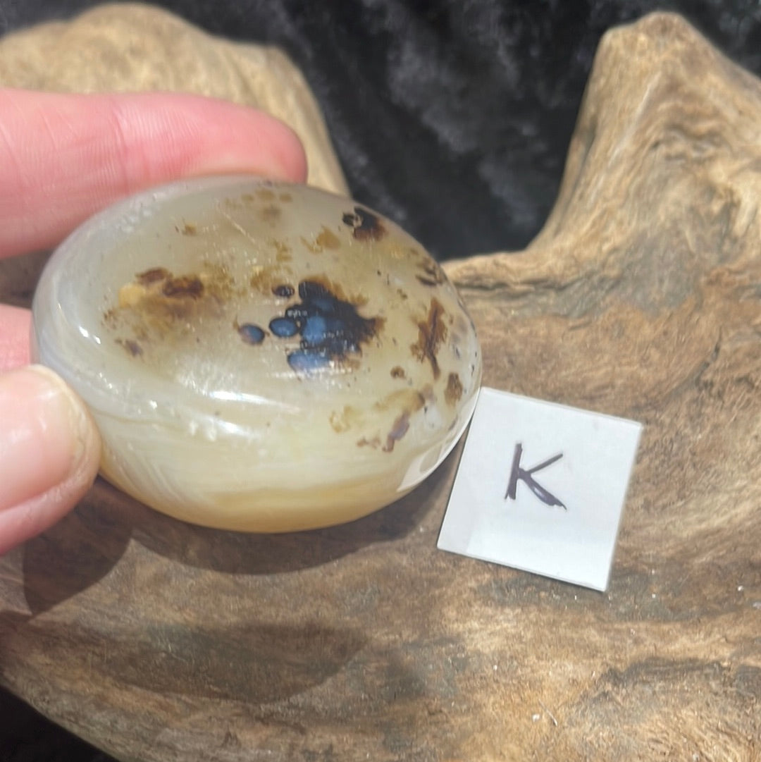 Dendritic Agate palm stone