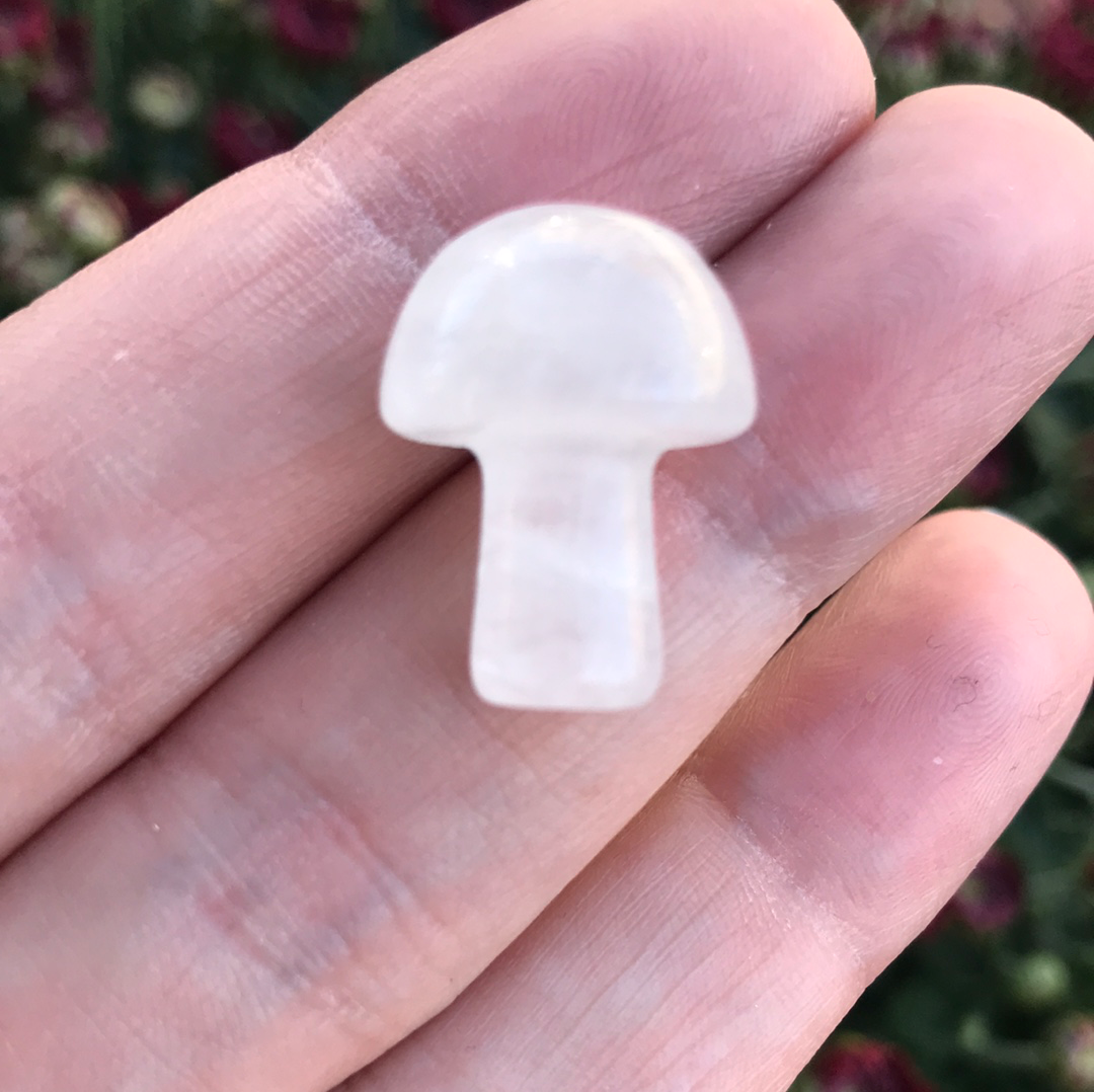 Mushrooms
