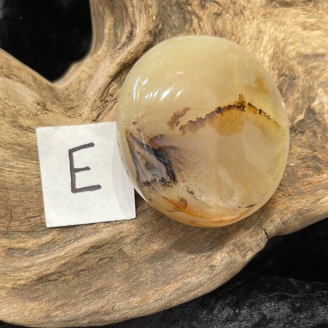 Dendritic Agate palm stone