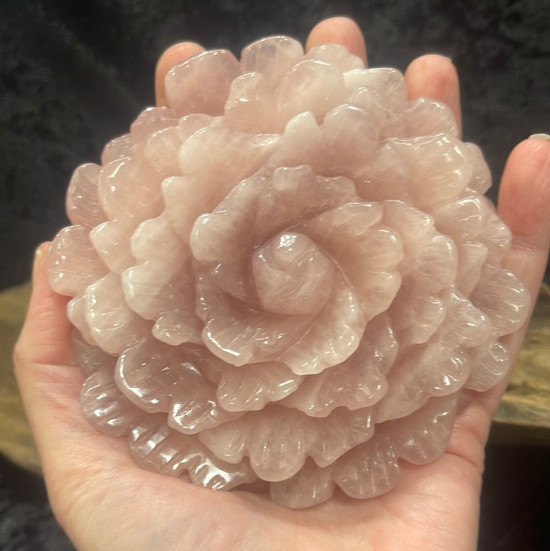 Gemstone flower blossoms