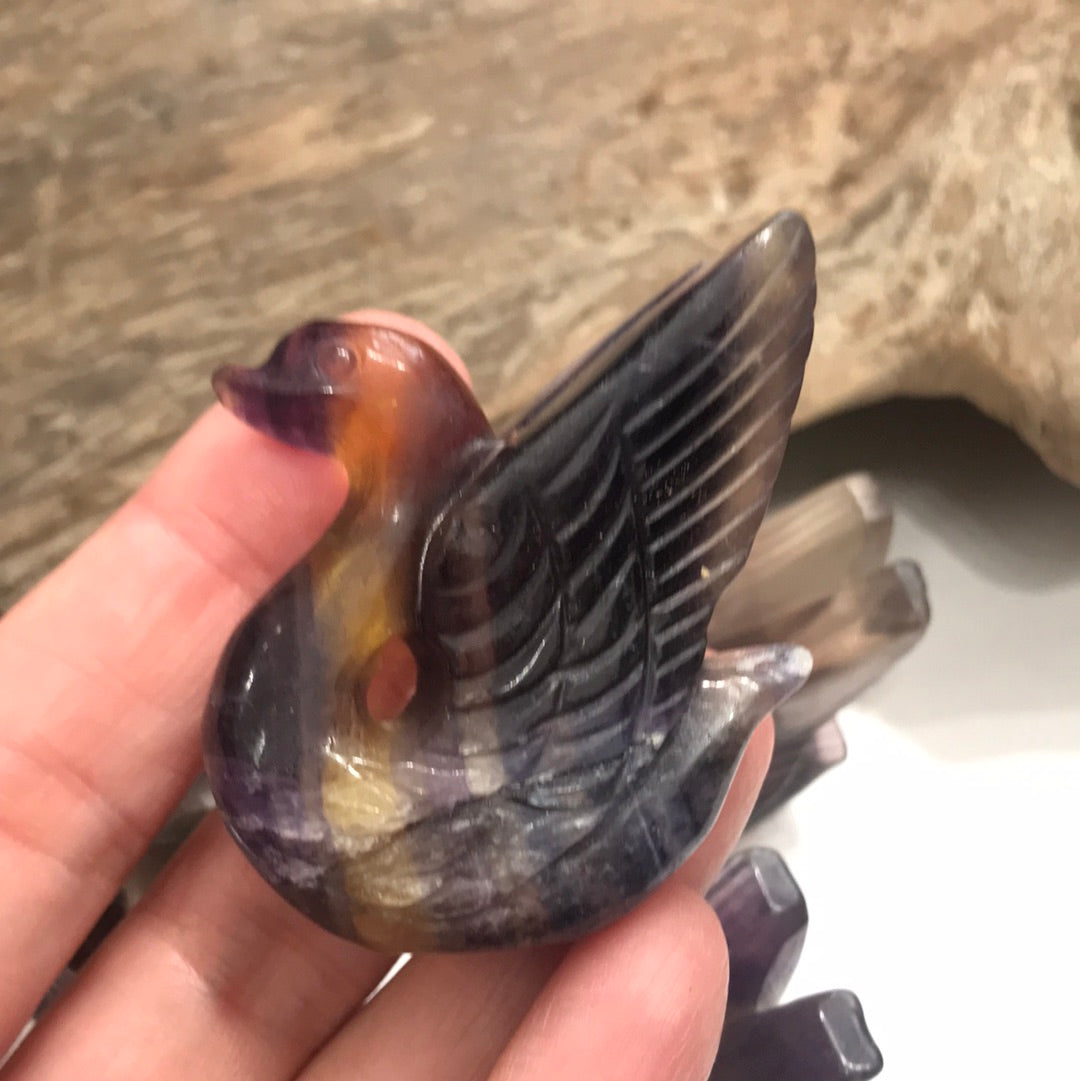 Fluorite Swans