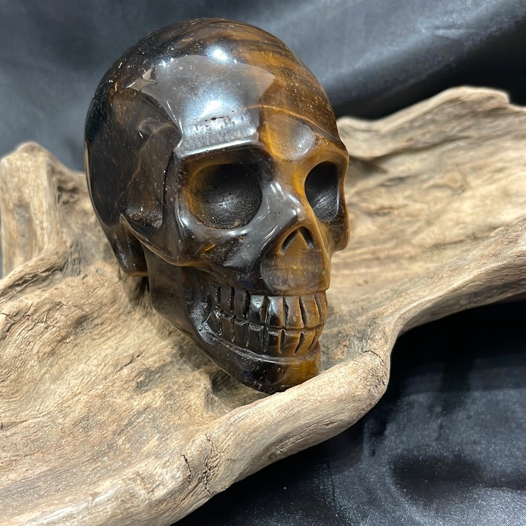 Tigers eye skull