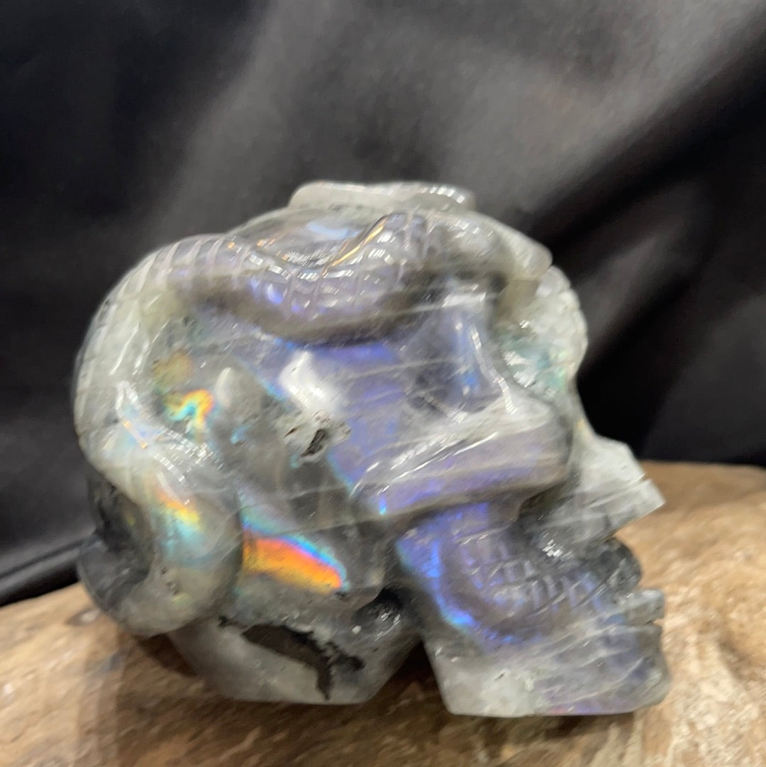 Labradorite skull with snake