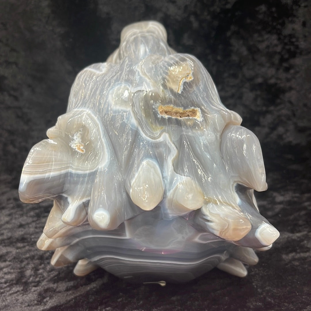 Agate Wolf Head