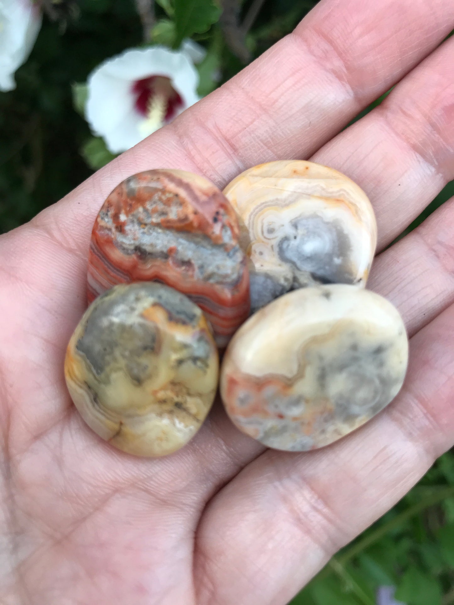 Crazy Lace Agate disk small