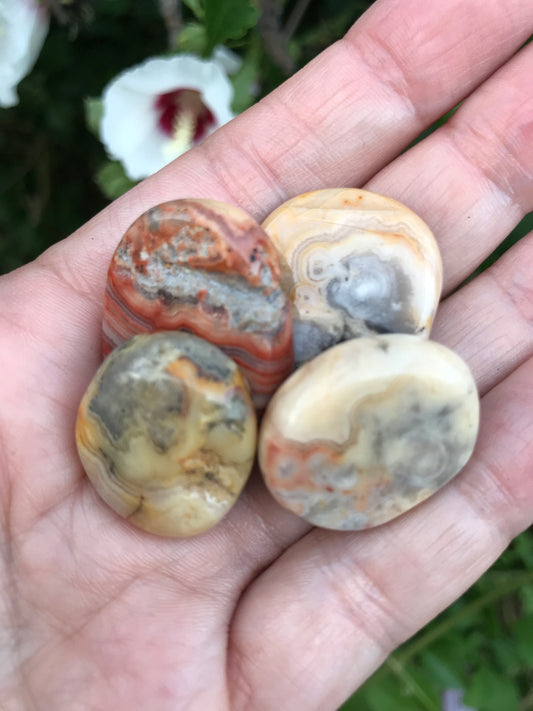 Crazy Lace Agate disk small