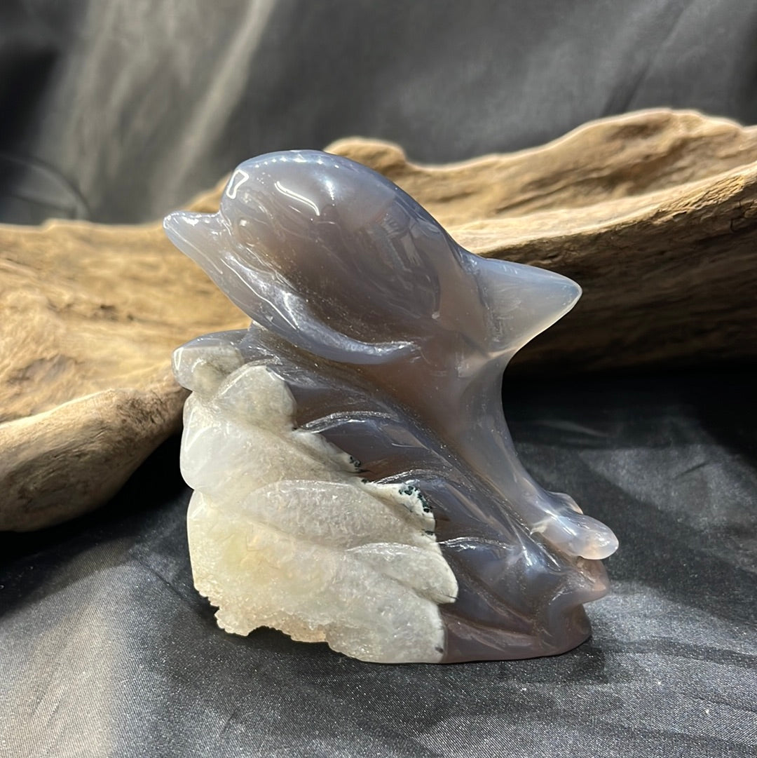 Druzy Agate Dolphin