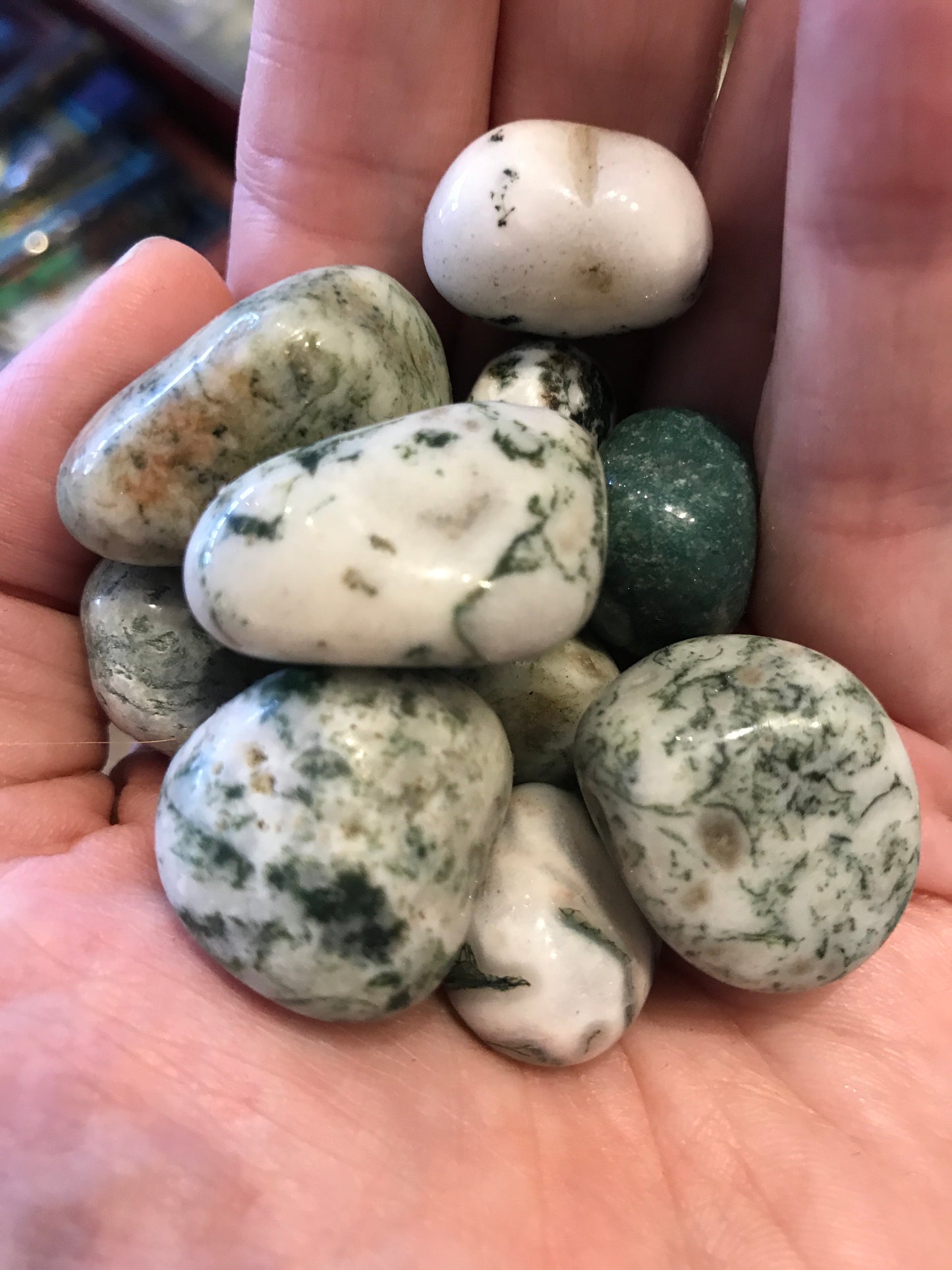 Tumbled Tree Agate