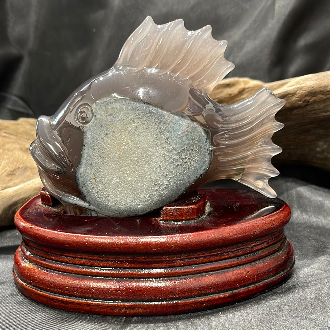 Fish
