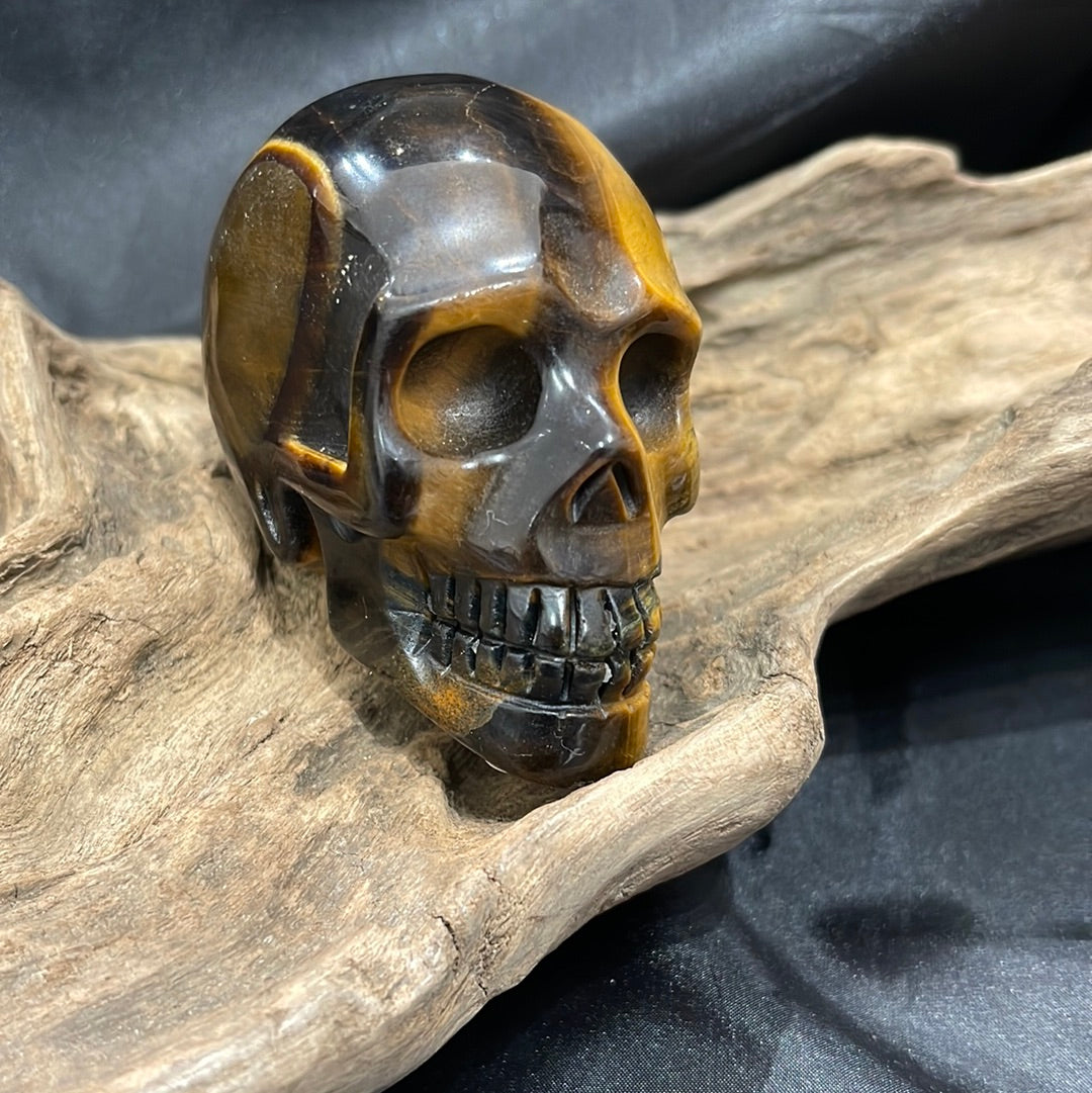 Tigers eye skull