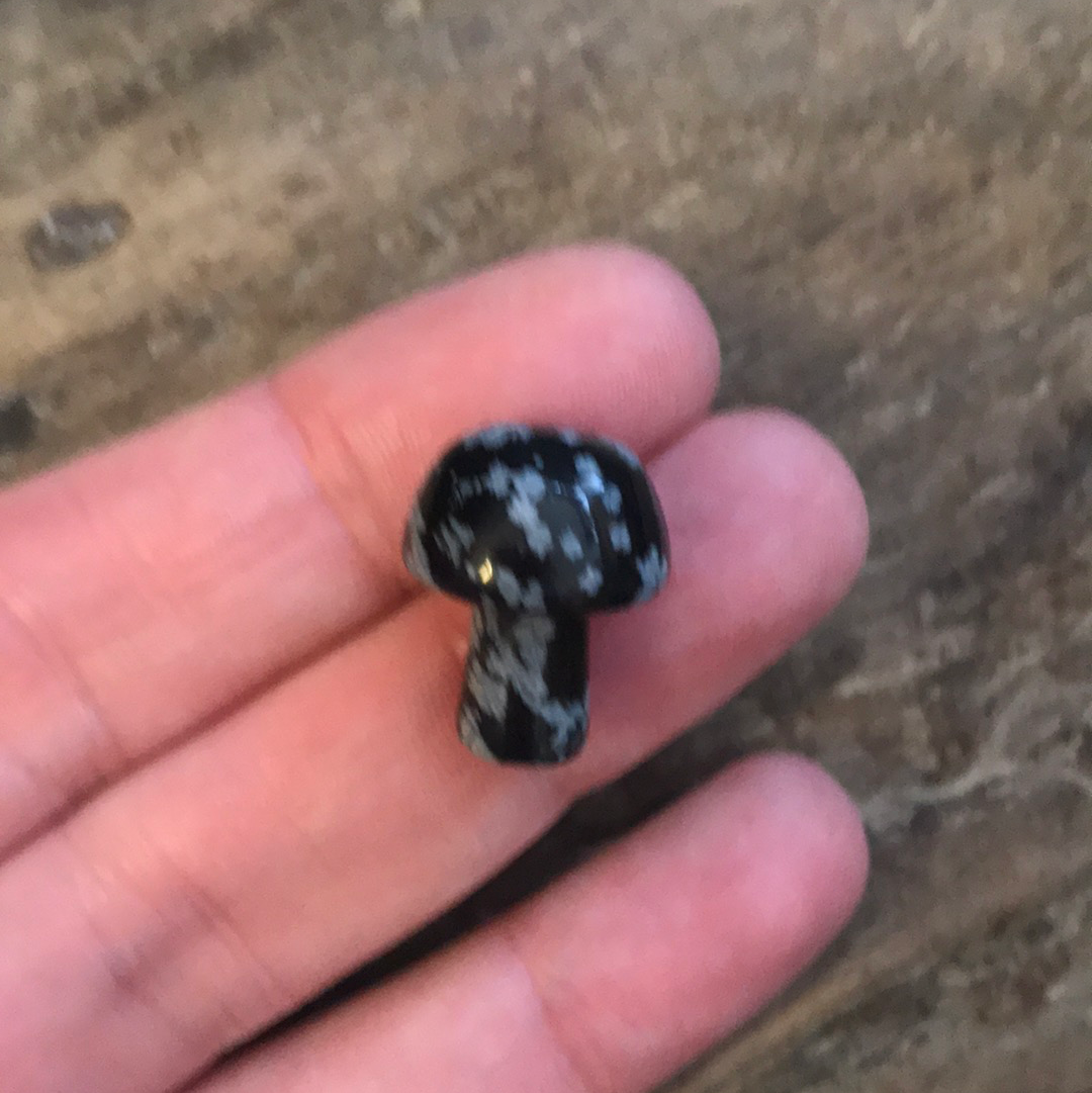 Mushrooms