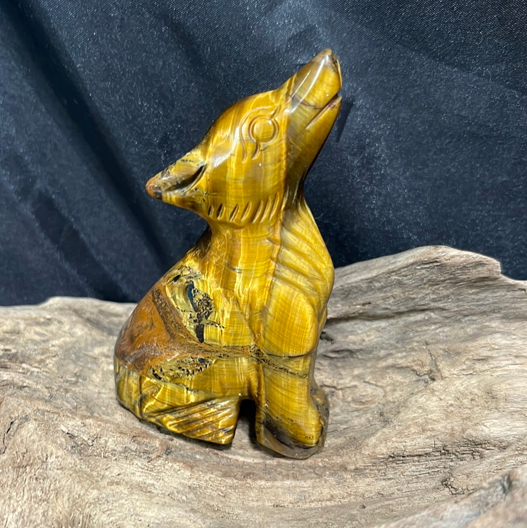 Wolf