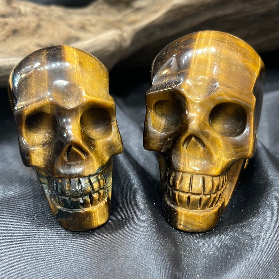 Tigers eye skull