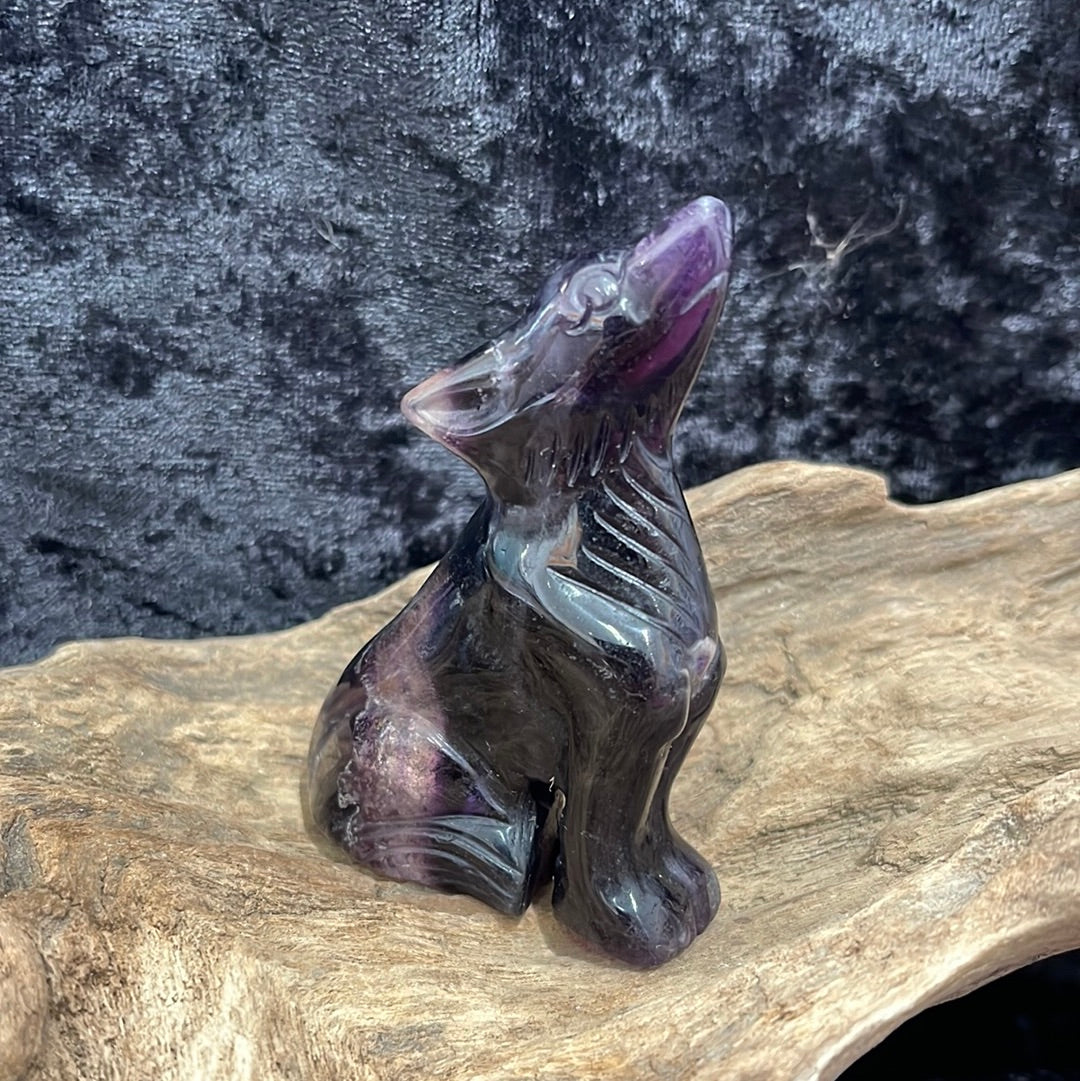 Wolf