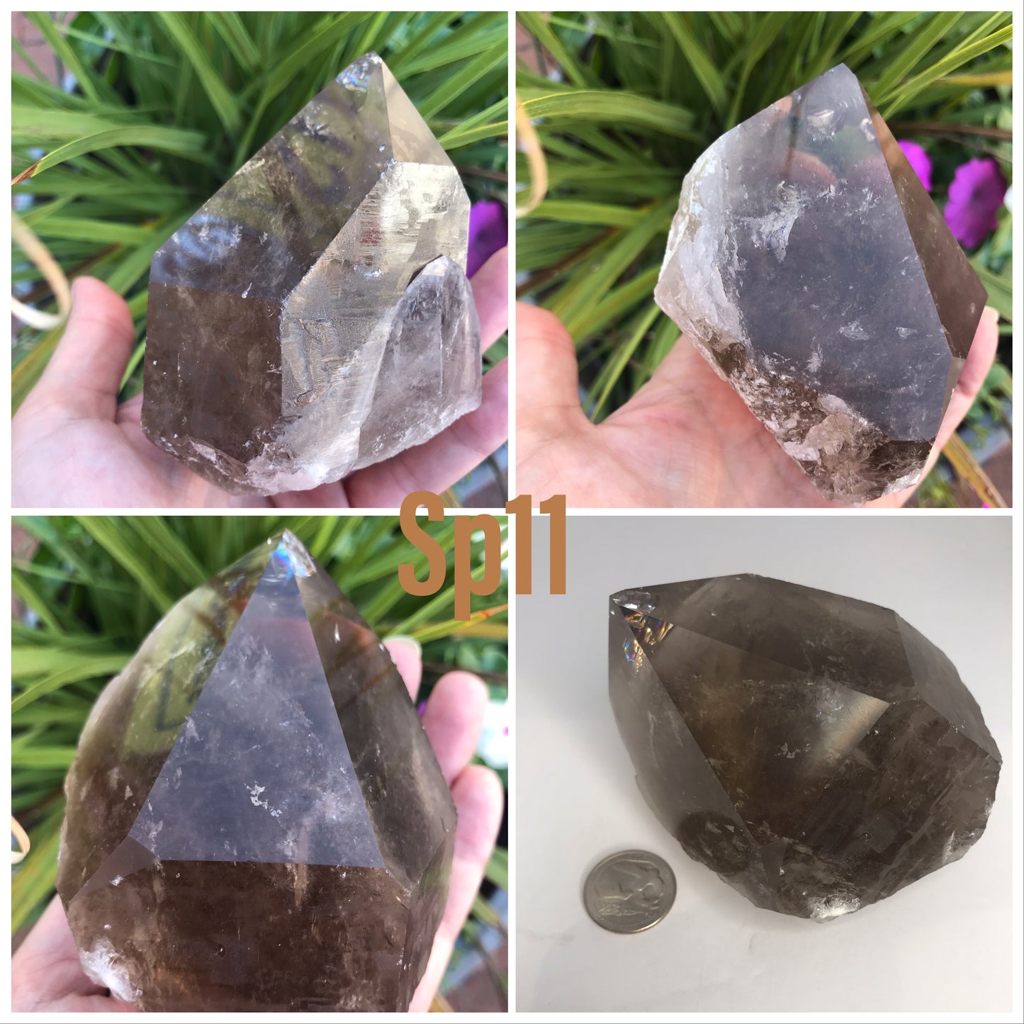 Smoky Quartz points