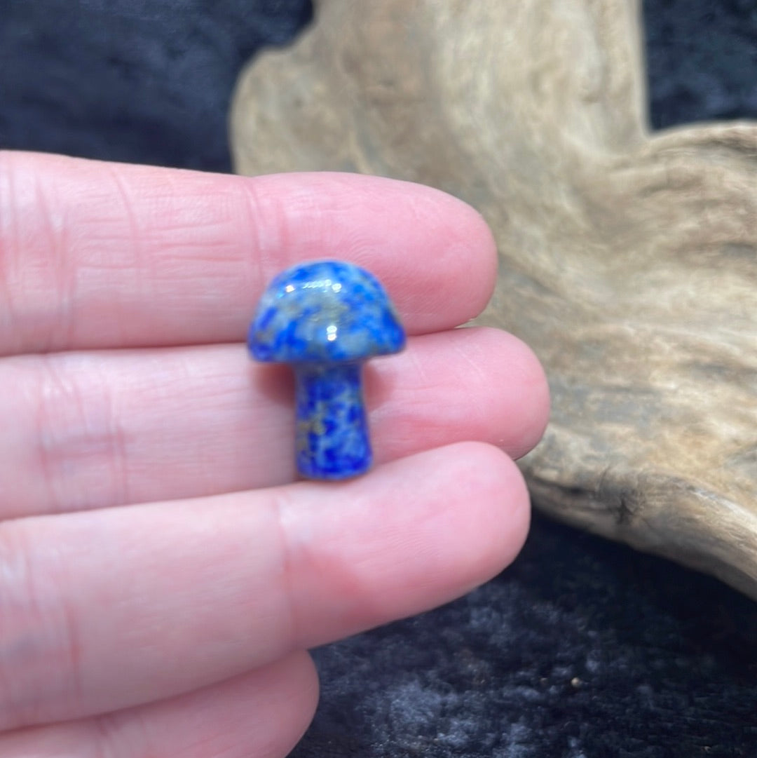 Mushrooms