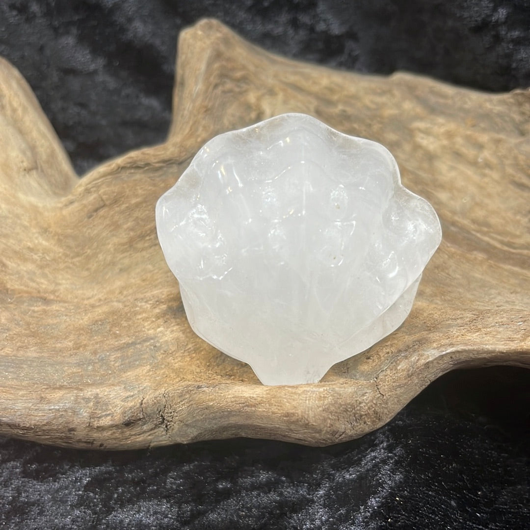 Quartz Clam