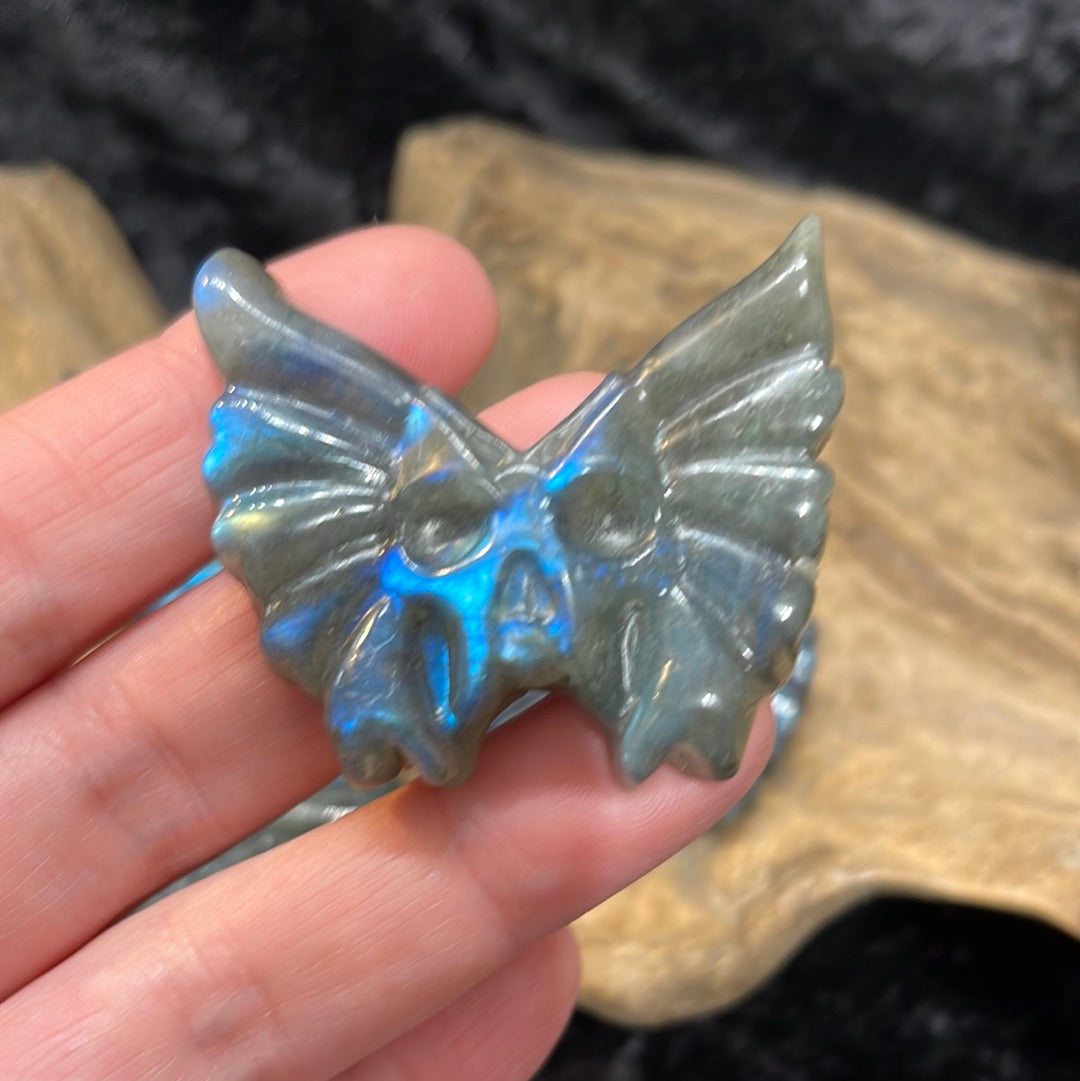 Labradorite butterfly skull