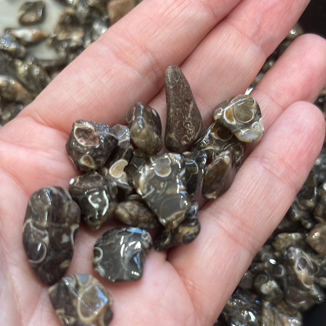 Tumbled bulk packs
