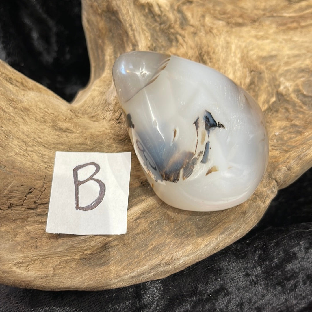 Dendritic Agate palm stone