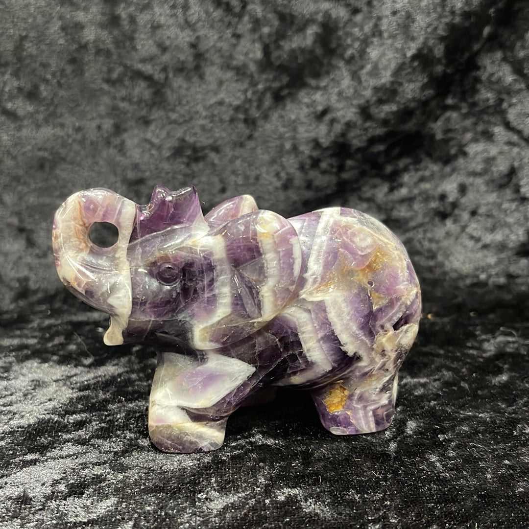 Elephants