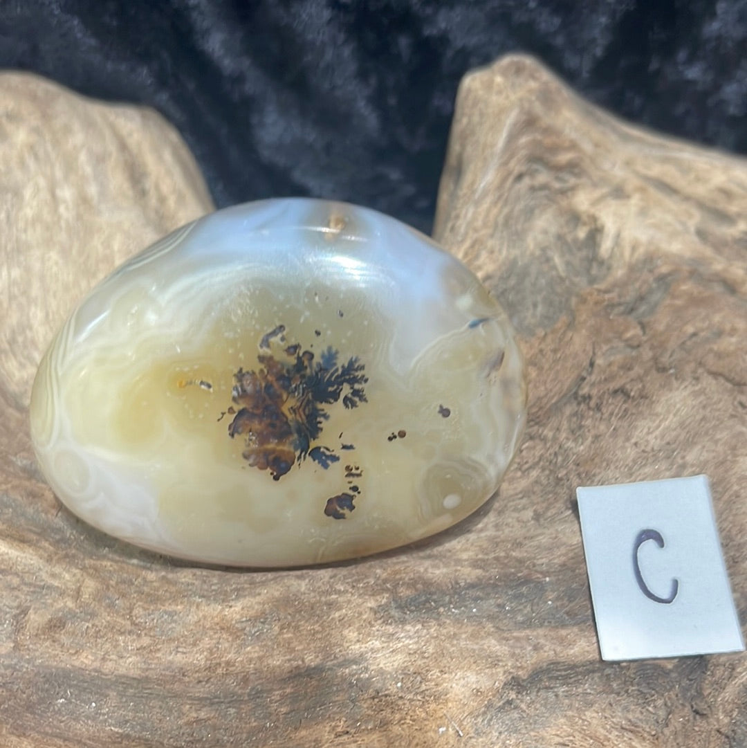 Dendritic Agate palm stone
