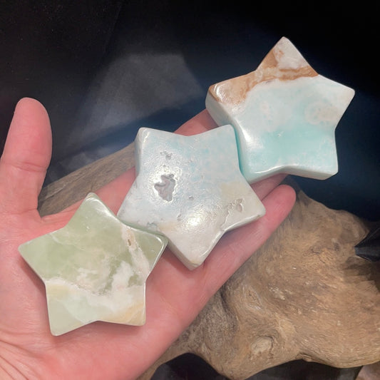 Caribbean calcite star