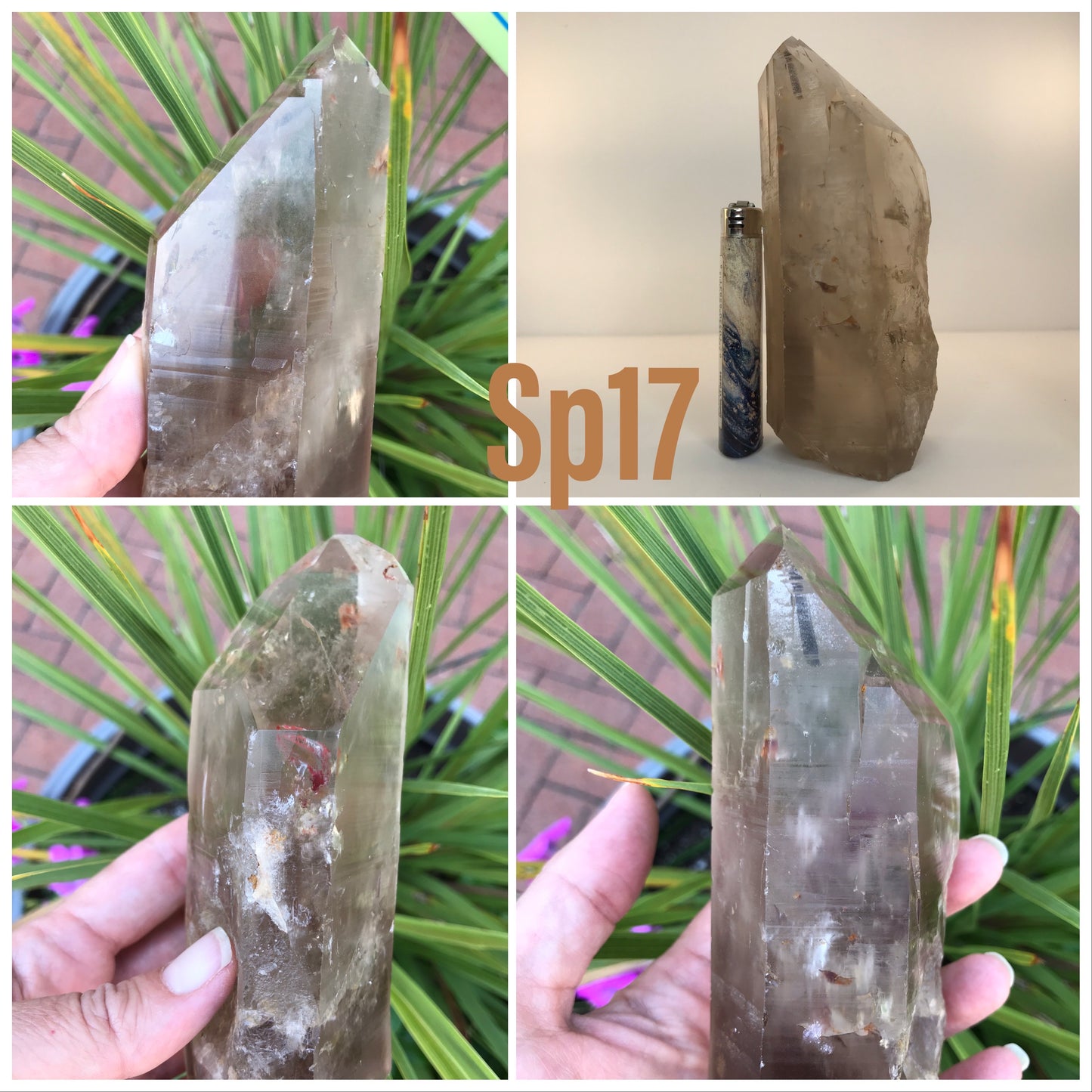 Smoky Quartz points