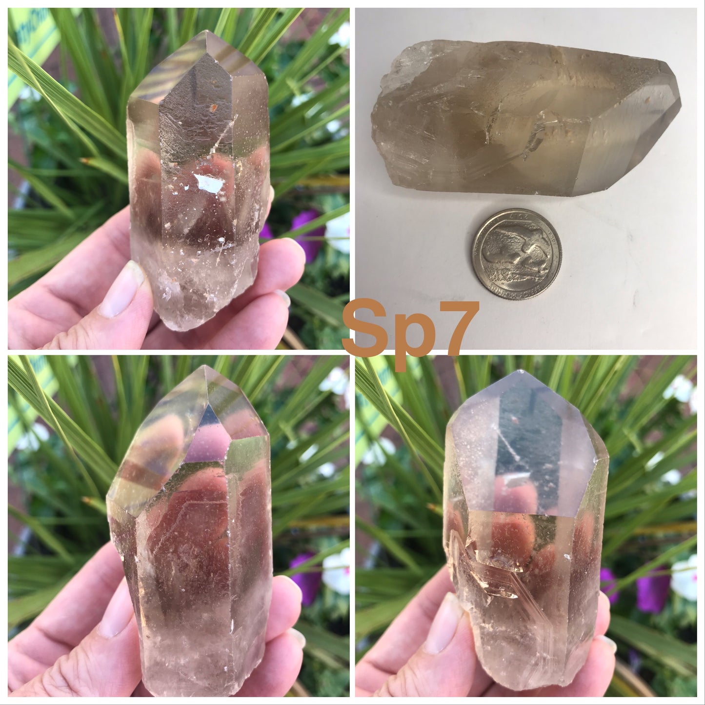Smoky Quartz points