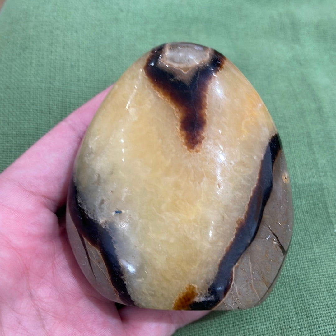 Septarian shapes